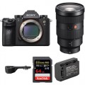 Sony Alpha a9 Mirrorless Digital Camera with 24-70mm f/2.8 Lens